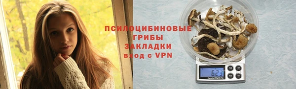 СК Медвежьегорск