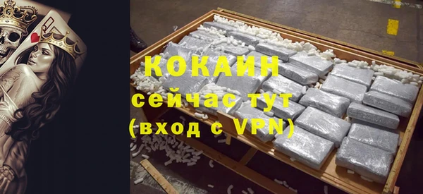 дживик Сосновый Бор