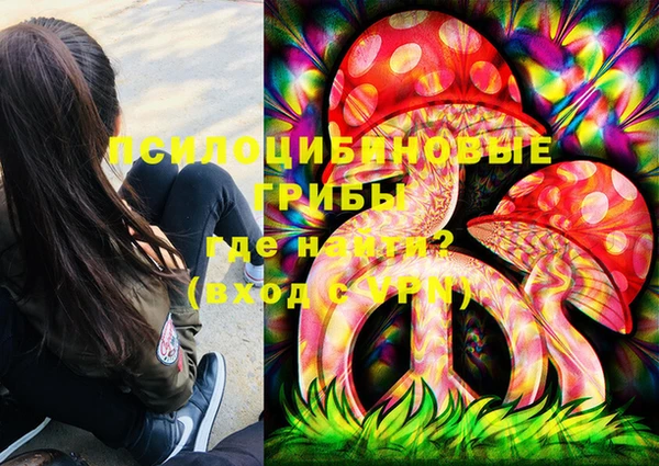 jwh Каменногорск