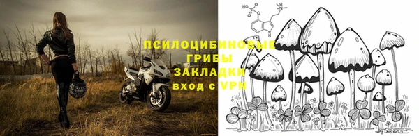 MDMA Premium VHQ Каменка