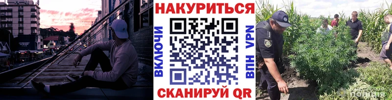 нарко площадка клад  Светлый  Бошки Шишки AK-47  цены  